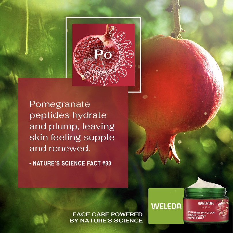 Field Labs — Pomegranate